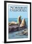 Monterey, California - Sea Lions-Lantern Press-Framed Art Print