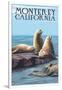 Monterey, California - Sea Lions-Lantern Press-Framed Premium Giclee Print