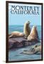 Monterey, California - Sea Lions-Lantern Press-Framed Premium Giclee Print