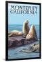 Monterey, California - Sea Lions-Lantern Press-Framed Premium Giclee Print