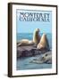 Monterey, California - Sea Lions-Lantern Press-Framed Art Print