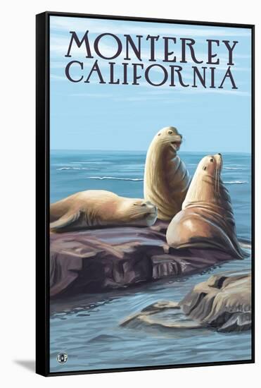 Monterey, California - Sea Lions-Lantern Press-Framed Stretched Canvas