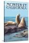 Monterey, California - Sea Lions-Lantern Press-Stretched Canvas