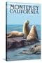 Monterey, California - Sea Lions-Lantern Press-Stretched Canvas