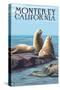 Monterey, California - Sea Lions-Lantern Press-Stretched Canvas