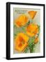 Monterey, California - State Flower - Poppy Flowers-Lantern Press-Framed Art Print