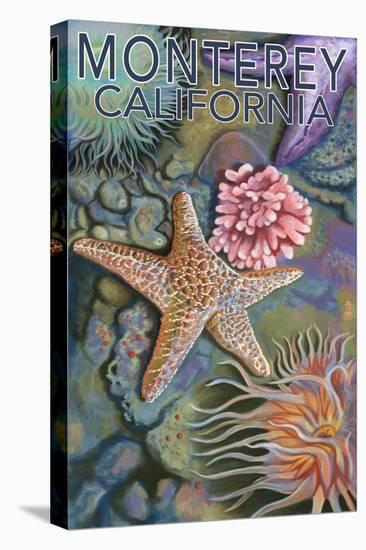 Monterey, California - Tidepool-Lantern Press-Stretched Canvas
