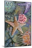 Monterey, California - Tidepool-Lantern Press-Mounted Art Print