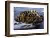 Monterey, California-Art Wolfe-Framed Photographic Print