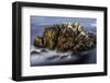 Monterey, California-Art Wolfe-Framed Photographic Print