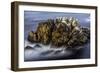 Monterey, California-Art Wolfe-Framed Photographic Print