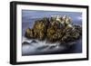 Monterey, California-Art Wolfe-Framed Photographic Print