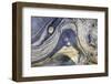 Monterey, California-Art Wolfe-Framed Photographic Print