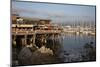 Monterey Docks and Fisherman's Wharf Restaurants-Stuart Black-Mounted Photographic Print
