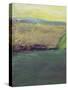 Monterey Morning I-Allan Friedlander-Stretched Canvas