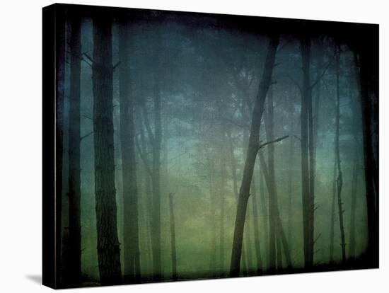 Monterey Pines in Fog #2-William Guion-Stretched Canvas