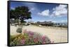 Monterey Spring View, California-George Oze-Framed Stretched Canvas