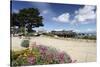 Monterey Spring View, California-George Oze-Stretched Canvas