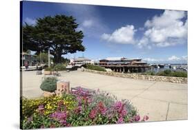 Monterey Spring View, California-George Oze-Stretched Canvas