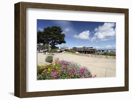 Monterey Spring View, California-George Oze-Framed Photographic Print