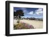 Monterey Spring View, California-George Oze-Framed Photographic Print