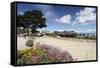 Monterey Spring View, California-George Oze-Framed Stretched Canvas