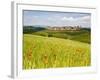 Monteriggioni, Chianti, Italy-Doug Pearson-Framed Photographic Print