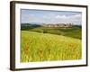 Monteriggioni, Chianti, Italy-Doug Pearson-Framed Photographic Print