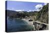 Monterosso Al Mare, Cinque Terre, UNESCO World Heritage Site, Liguria, Italy, Europe-Gavin Hellier-Stretched Canvas