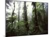 Monteverde Cloud Forest, Costa Rica-Stuart Westmoreland-Mounted Photographic Print