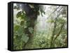 Monteverde Cloud Forest Reserve, Selvatura Adventure Park, Costa Rica-Jim Goldstein-Framed Stretched Canvas