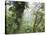 Monteverde Cloud Forest Reserve, Selvatura Adventure Park, Costa Rica-Jim Goldstein-Stretched Canvas