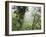 Monteverde Cloud Forest Reserve, Selvatura Adventure Park, Costa Rica-Jim Goldstein-Framed Photographic Print