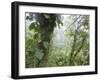 Monteverde Cloud Forest Reserve, Selvatura Adventure Park, Costa Rica-Jim Goldstein-Framed Photographic Print