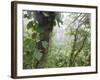 Monteverde Cloud Forest Reserve, Selvatura Adventure Park, Costa Rica-Jim Goldstein-Framed Photographic Print