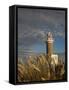 Montevideo, Punta Brava Lighthouse, Morning, Uruguay-Walter Bibikow-Framed Stretched Canvas
