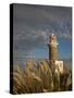 Montevideo, Punta Brava Lighthouse, Morning, Uruguay-Walter Bibikow-Stretched Canvas