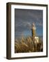 Montevideo, Punta Brava Lighthouse, Morning, Uruguay-Walter Bibikow-Framed Photographic Print