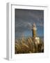 Montevideo, Punta Brava Lighthouse, Morning, Uruguay-Walter Bibikow-Framed Photographic Print