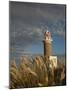 Montevideo, Punta Brava Lighthouse, Morning, Uruguay-Walter Bibikow-Mounted Photographic Print