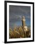 Montevideo, Punta Brava Lighthouse, Morning, Uruguay-Walter Bibikow-Framed Photographic Print