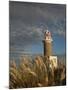 Montevideo, Punta Brava Lighthouse, Morning, Uruguay-Walter Bibikow-Mounted Photographic Print