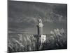 Montevideo, Punta Brava Lighthouse, Morning, Uruguay-Walter Bibikow-Mounted Photographic Print