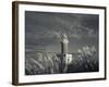 Montevideo, Punta Brava Lighthouse, Morning, Uruguay-Walter Bibikow-Framed Photographic Print