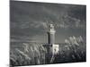 Montevideo, Punta Brava Lighthouse, Morning, Uruguay-Walter Bibikow-Mounted Photographic Print