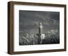 Montevideo, Punta Brava Lighthouse, Morning, Uruguay-Walter Bibikow-Framed Photographic Print