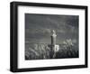 Montevideo, Punta Brava Lighthouse, Morning, Uruguay-Walter Bibikow-Framed Photographic Print