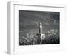 Montevideo, Punta Brava Lighthouse, Morning, Uruguay-Walter Bibikow-Framed Photographic Print