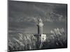 Montevideo, Punta Brava Lighthouse, Morning, Uruguay-Walter Bibikow-Mounted Photographic Print