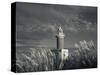 Montevideo, Punta Brava Lighthouse, Morning, Uruguay-Walter Bibikow-Stretched Canvas